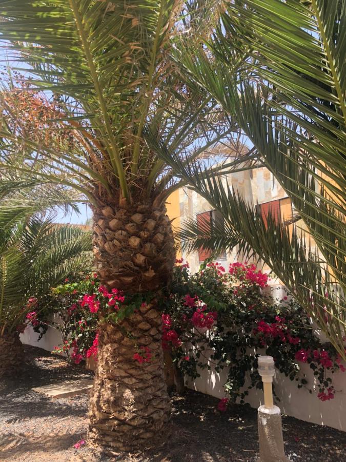 קוסטה דה אנטיגואה Apartamento Paradise Amaya מראה חיצוני תמונה